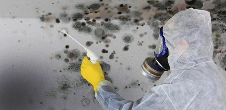 Commercial & Residential Mold Testing