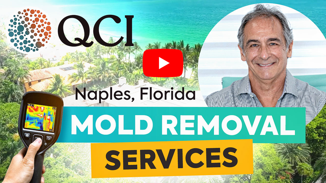 QCI Mold Removal and Water Damage Restoration Removal Video