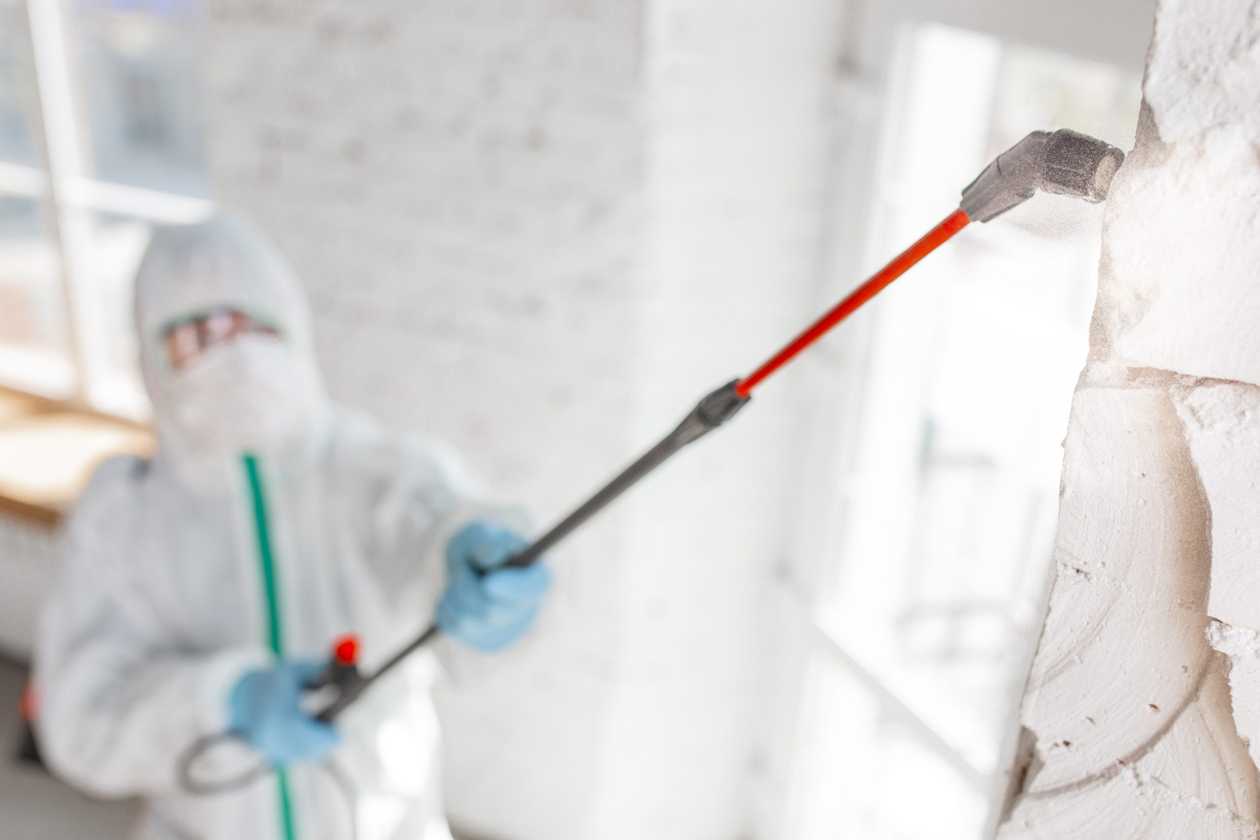 image of a tester performing Mold Testing and Remediation.